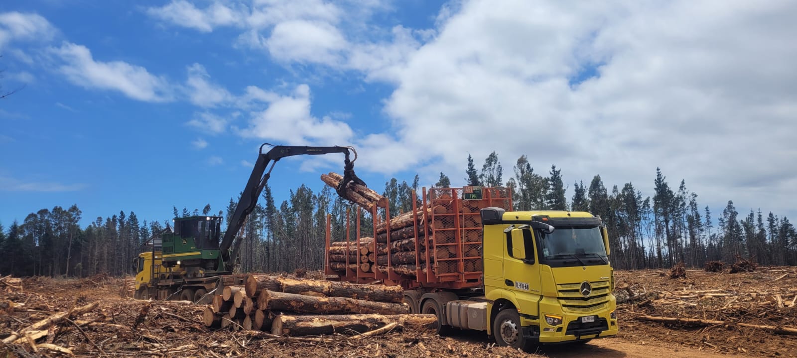 Transporte forestal de Parra e Hijos en faena 6